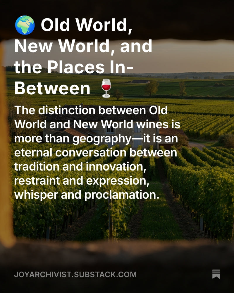 🌍 Old World, New World, and the Places In-Between 🍷